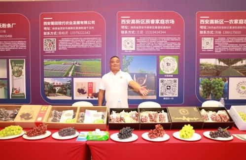 特色 吸睛 魅力亮眼 西安高新区7家农产品惊艳亮相厦门