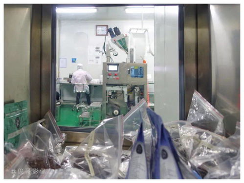 开启舌尖赏味之旅 厦门网网友采风团走进多威咖啡梦工厂